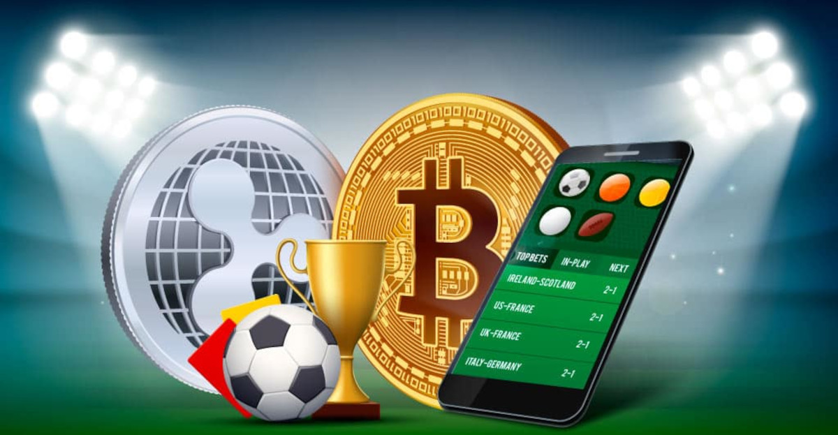 Explore Fast, Fair & Transparent Gambling Platforms 23